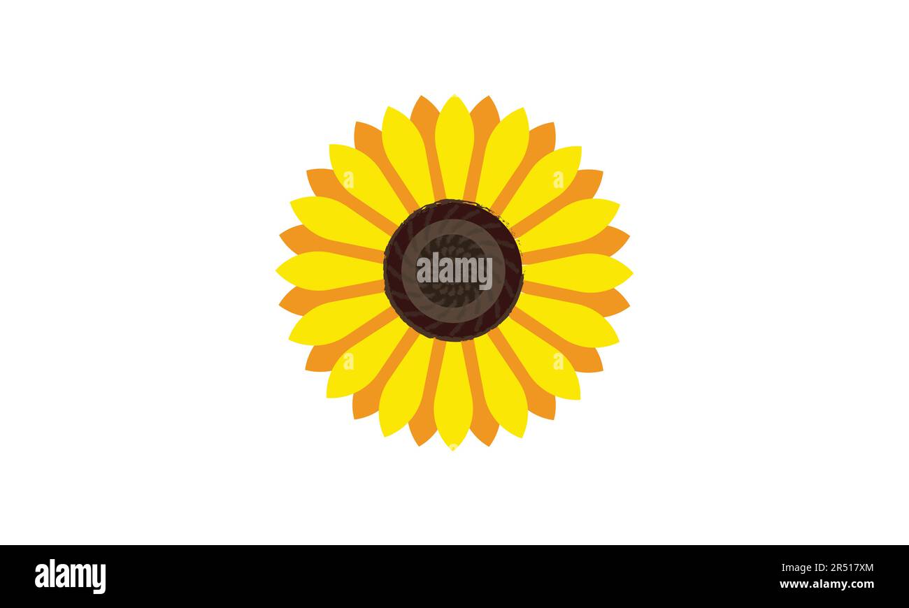 sunflower isolated on white background Stock Vector