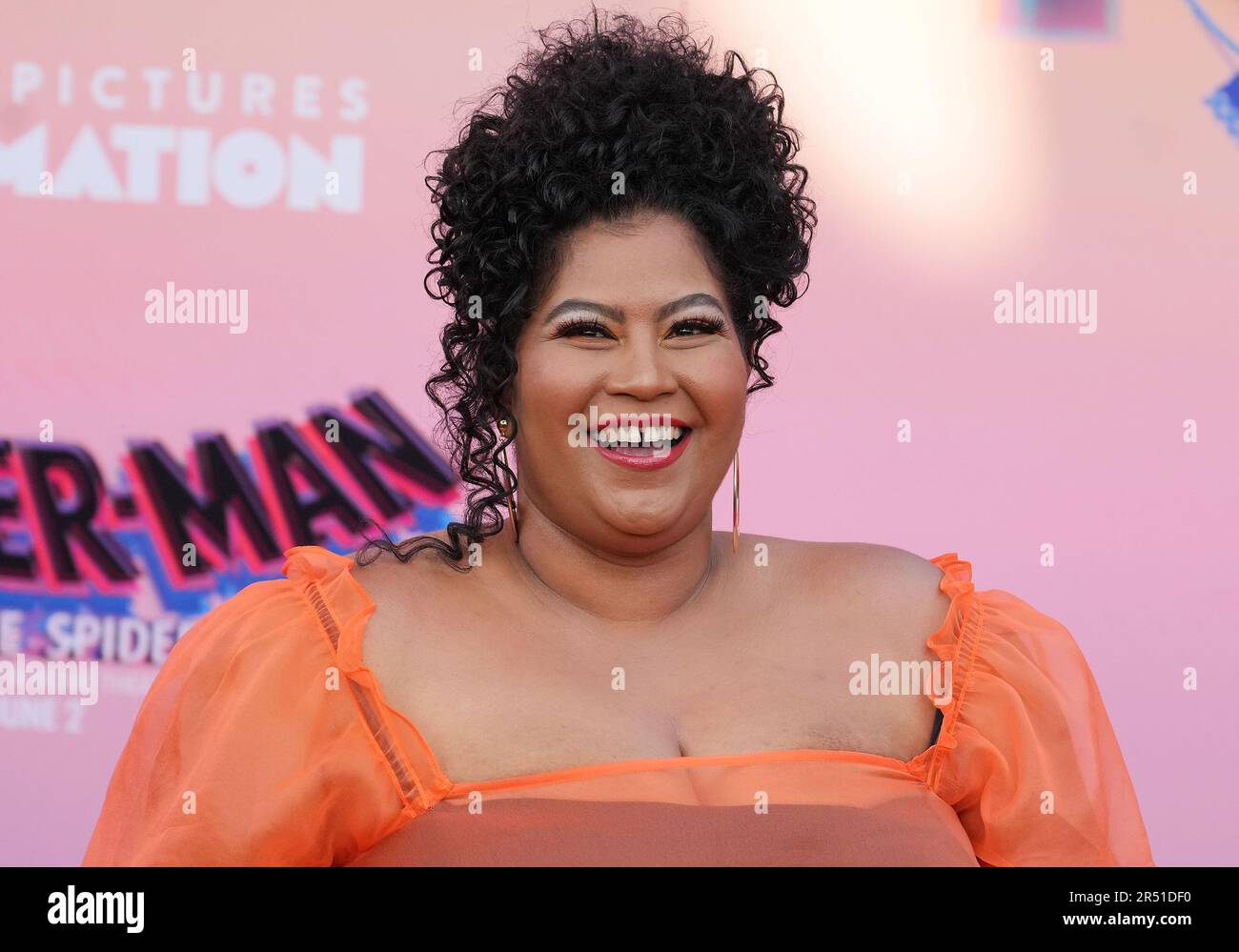 Danielle Perez arrives at the Sony Pictures Animation's SPIDER-MAN ...