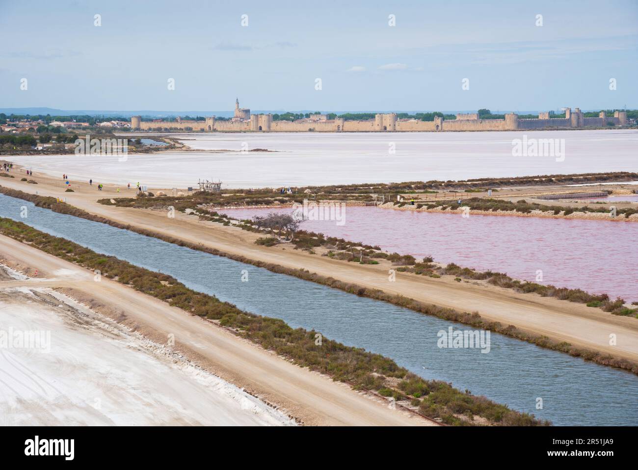Pink Salt Marshes Landscape Near Aigues Mortes France Medieval Town 