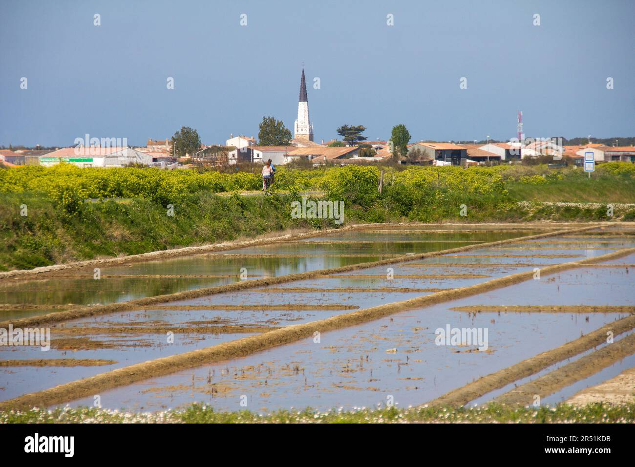 Marais salants sur l'ile de ré, France Stock Photo