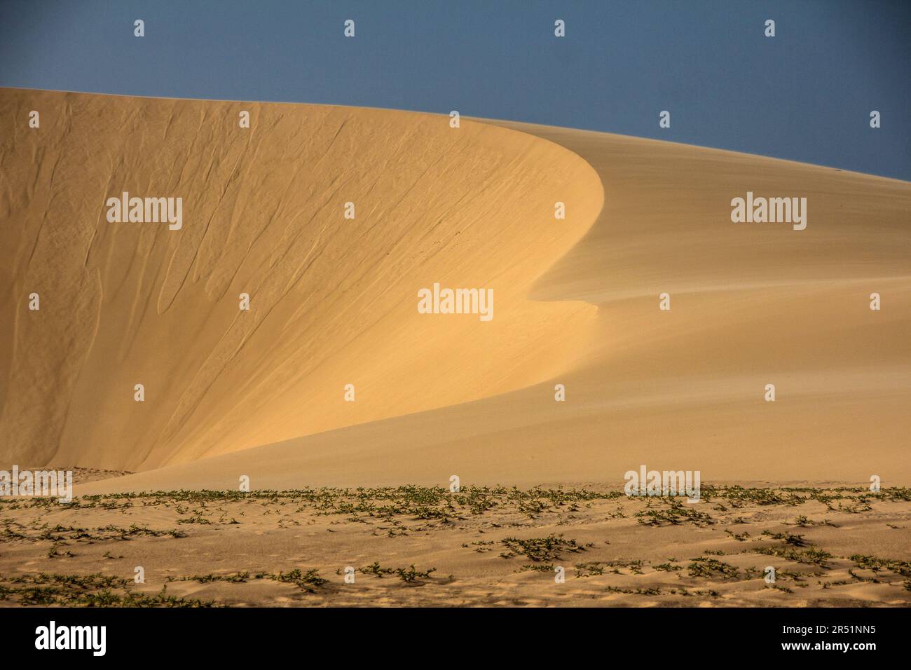 Lençóis Maranhenses National Park, brazil Stock Photo - Alamy