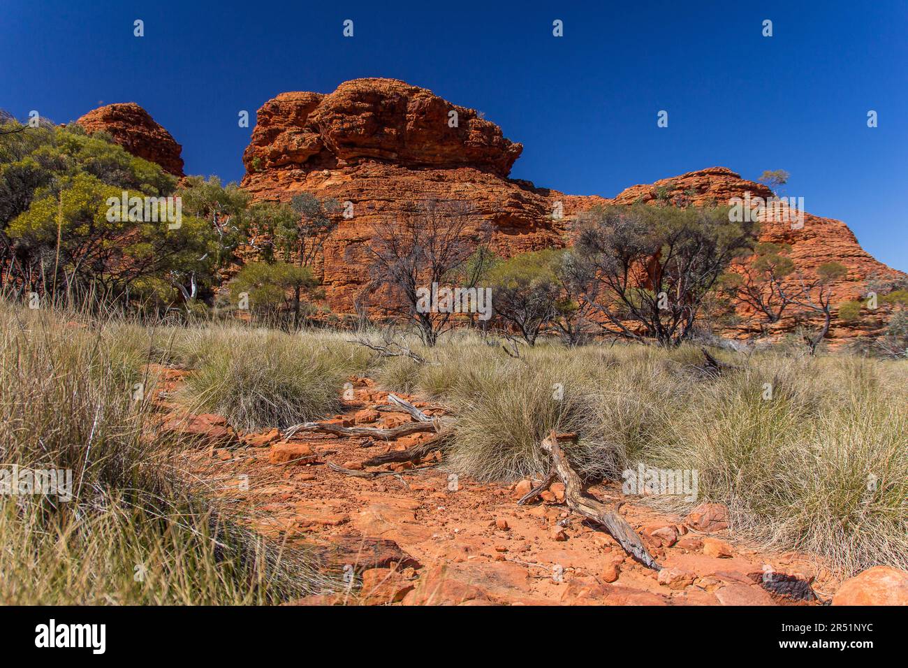 Kings Canyon Watarrka National Park Alice Spring Australia Stock Kings Canyon Watarrka National Park Alice Spring Australia Stock