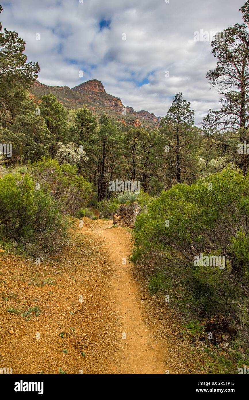 Landscapes of the Flinders Range in Australia Stock Photo - Alamy