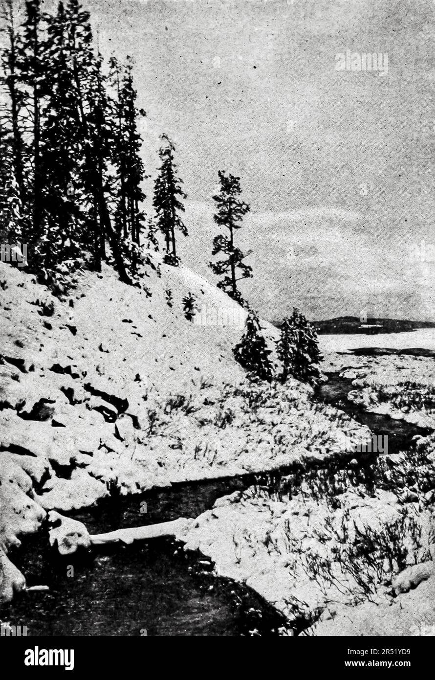 An Upland Brook May in the Yellowstone, black and white vintage photograph by Clifton Johnson, from the guide book ' Highways and byways of the Rocky Mountains ' Publication date 1910 Publisher Macmillan Company New York and London Stock Photo