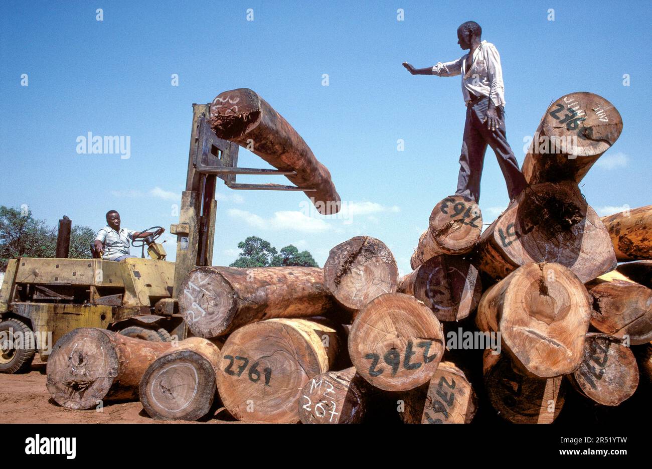 Maputo Tree Timber truck africa hi-res stock photography and images - Alamy