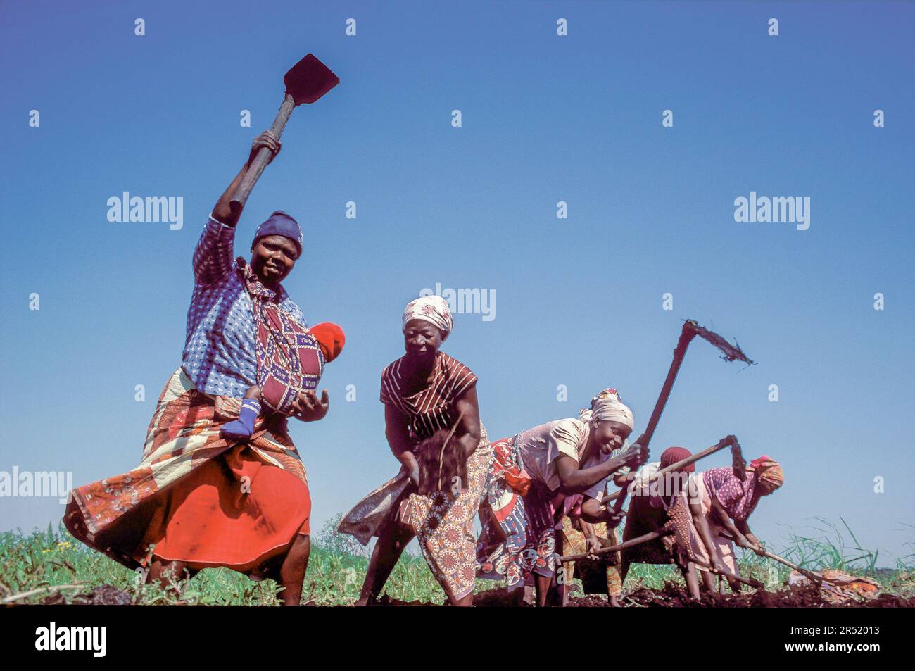 Mozambique, Maputo region; Women at work ploughing the soil of a field; one woman is carrying a baby in a cloth. Stock Photo