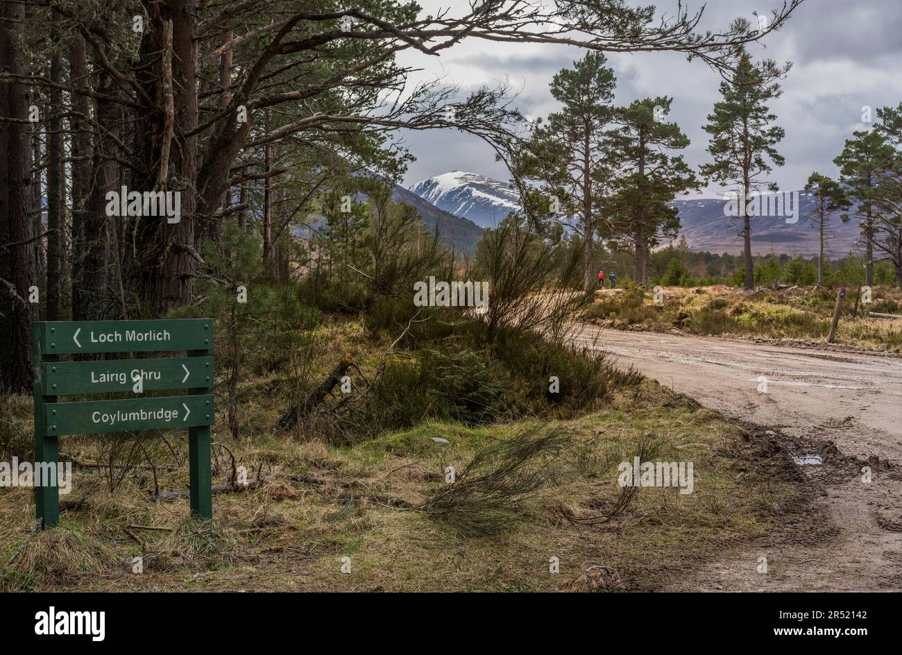 Highland wildlife park scotland sign hires stock photography and