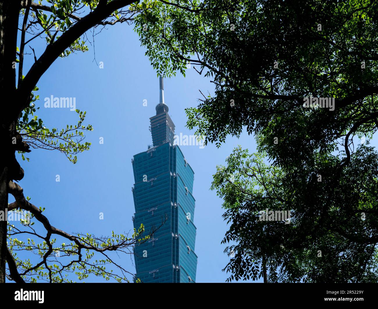 Taipei 101 skyscraper in Taipei/Taiwan Stock Photo