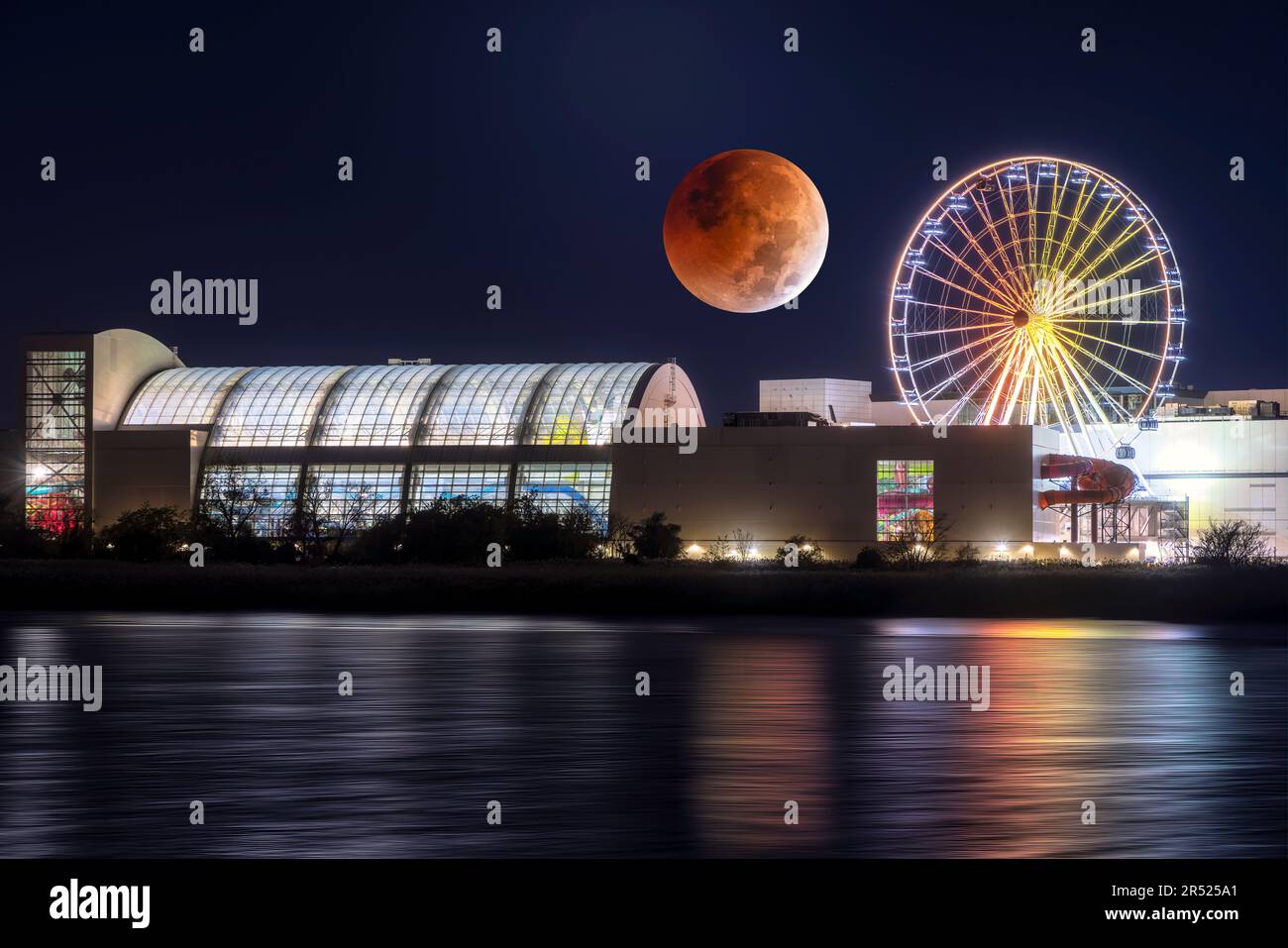 Lunar Eclipse - The Beaver full blood moon lunar eclipse.  Also seen is the illuminated Dream Wheel ferris wheel at American Dream mall in Rutherford, Stock Photo