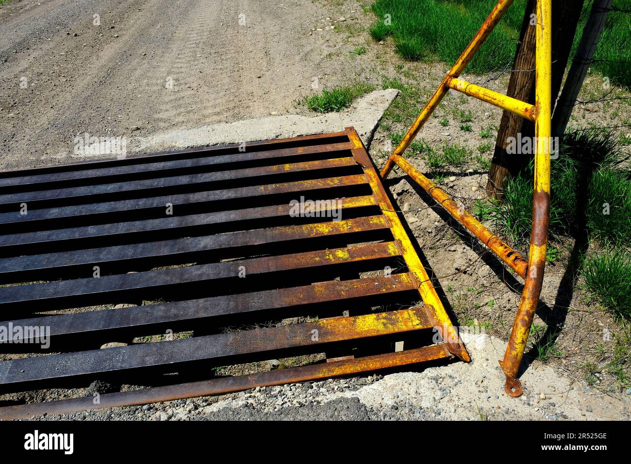 Rusted old cattle crossing grate on old country road Stock Photo - Alamy