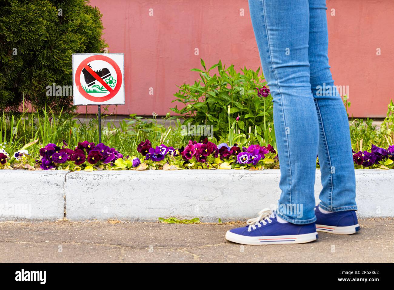 city flower bed with a sign forbidding trampling on flowers Stock Photo -  Alamy