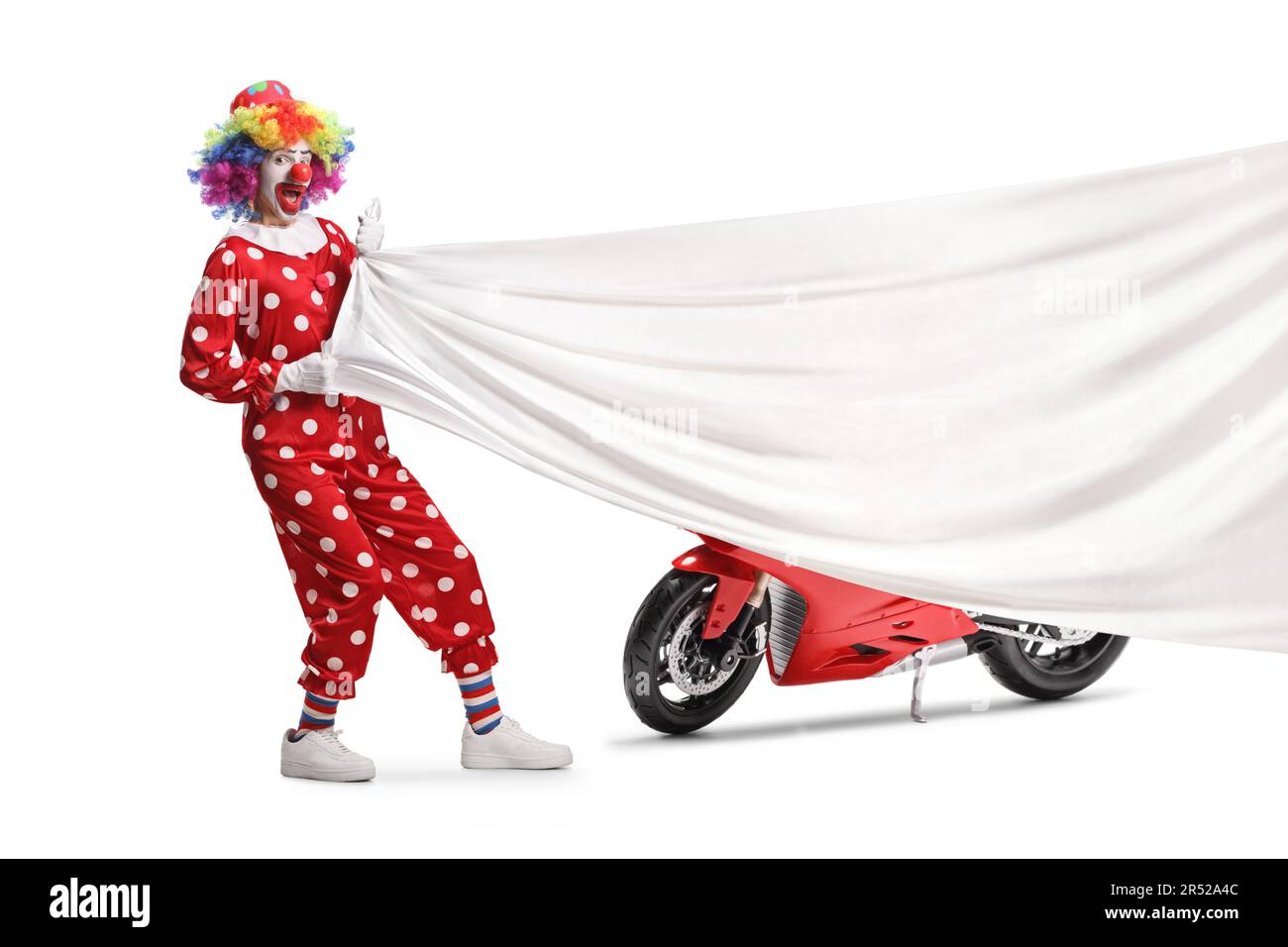 Clown pulling a big white cloth in front of a red motorcycle isolated on white background Stock Photo