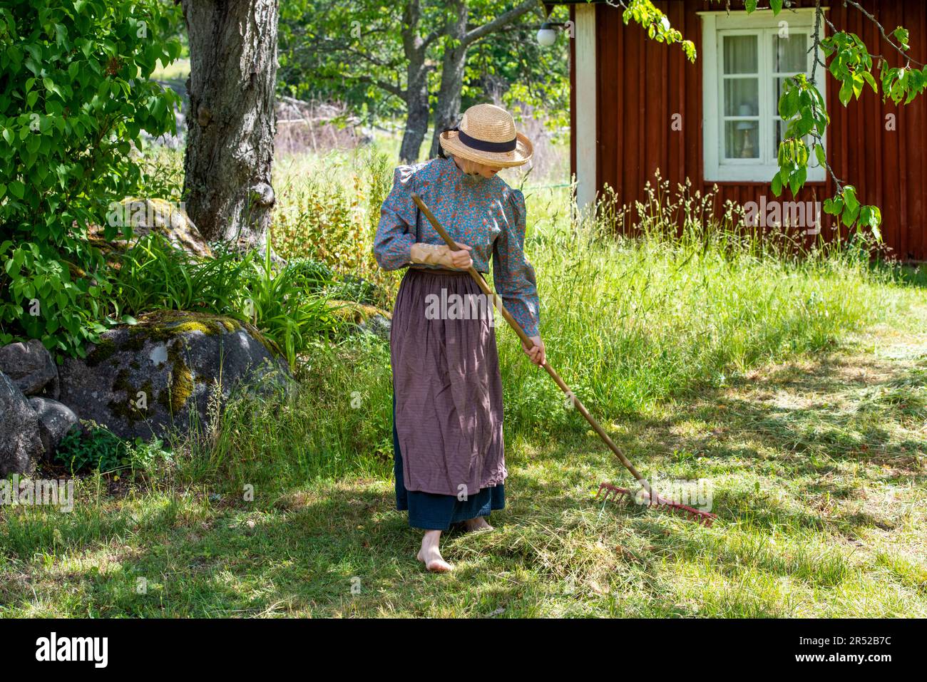 Young woman raking hay in Stensjö village Stock Photo
