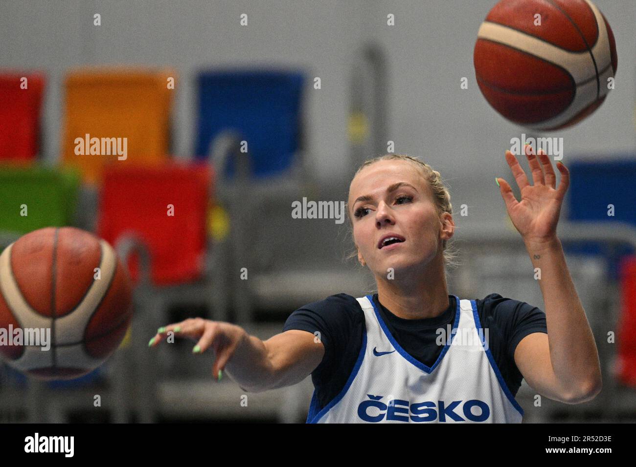 Prague, Czech Republic. 31st May, 2023. Petra Holesinska attends the