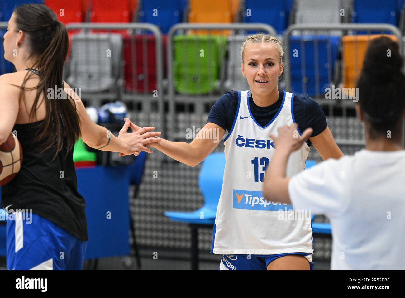 Prague, Czech Republic. 31st May, 2023. Petra Holesinska attends the