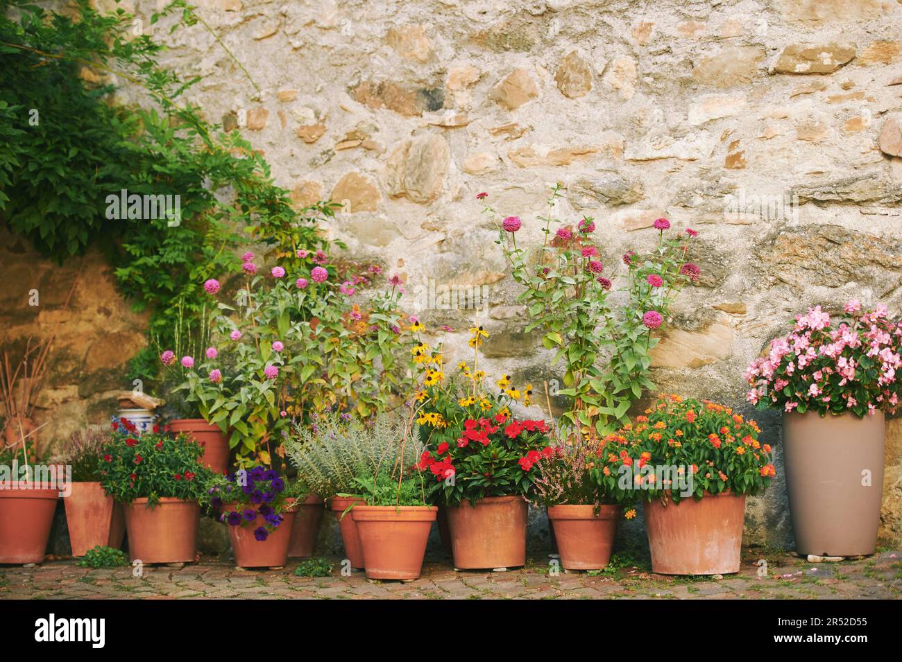Many potted colorful plants outside next to old stone facade Stock Photo