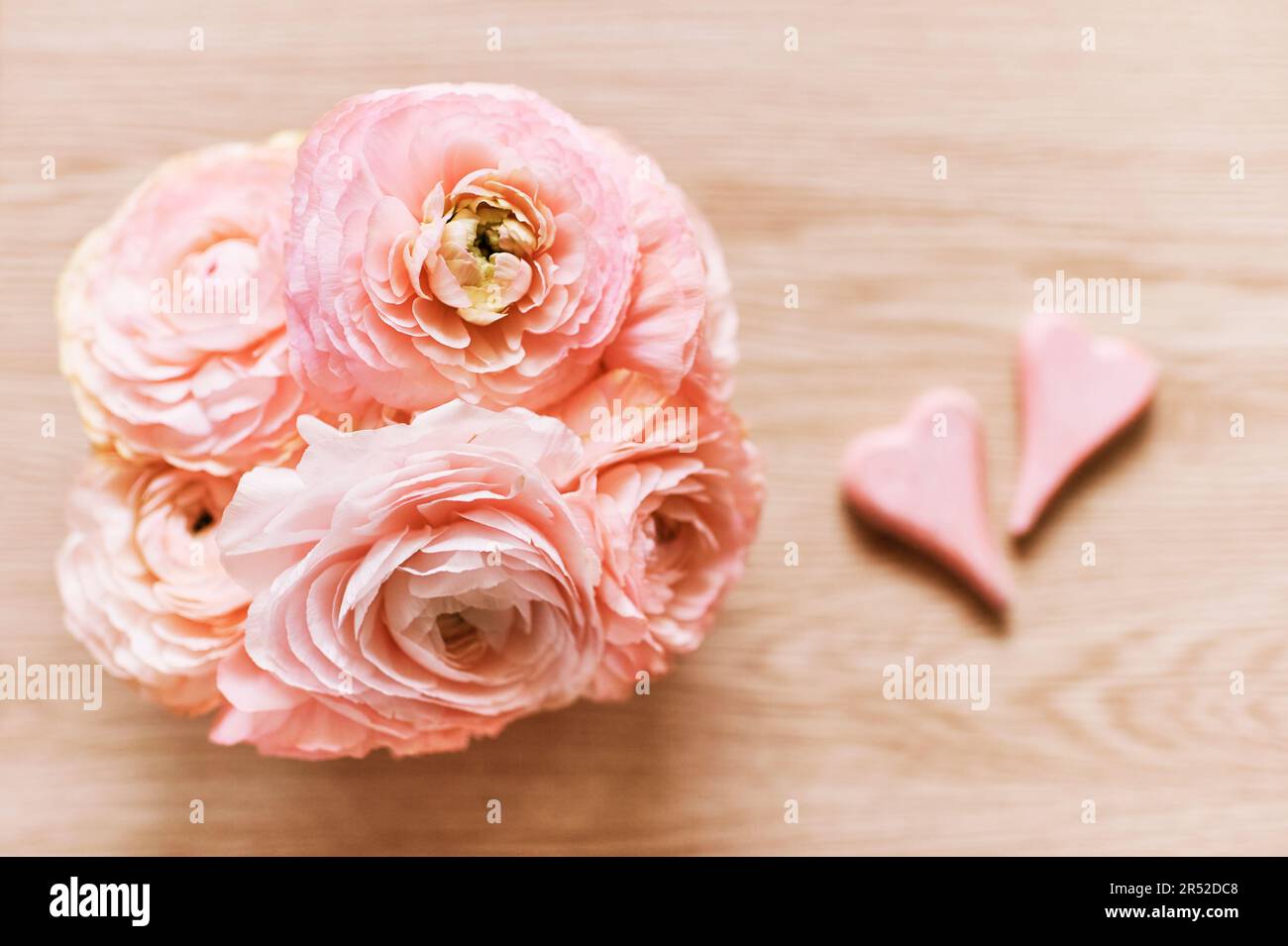 Beautiful bouquet of pink ranunculus with 2 hearts, top view, wooden background. Stock Photo