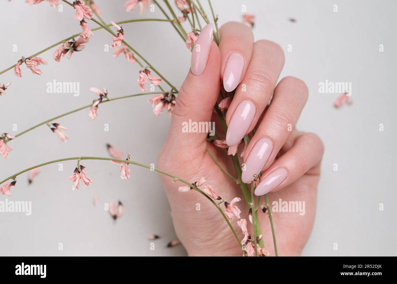 Beautiful female hands with manicure Stock Photo