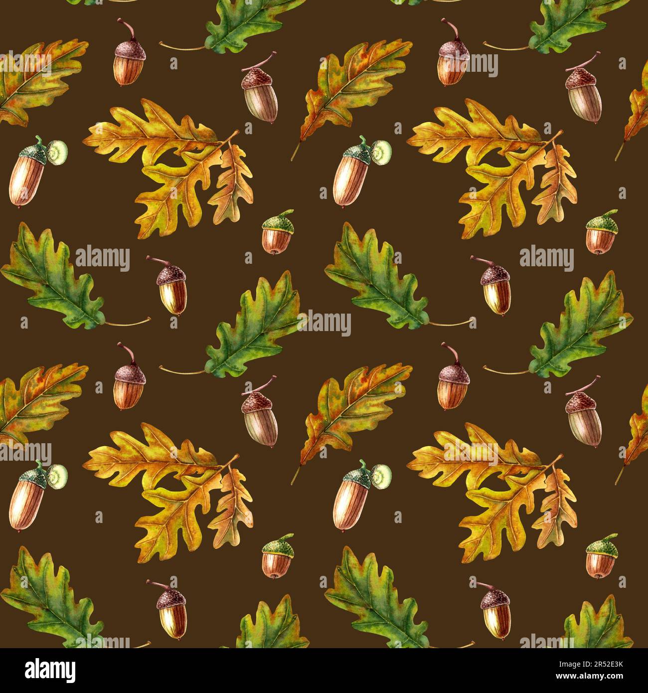 Watercolor seamless pattern with oak leaves and acorns Stock Photo - Alamy
