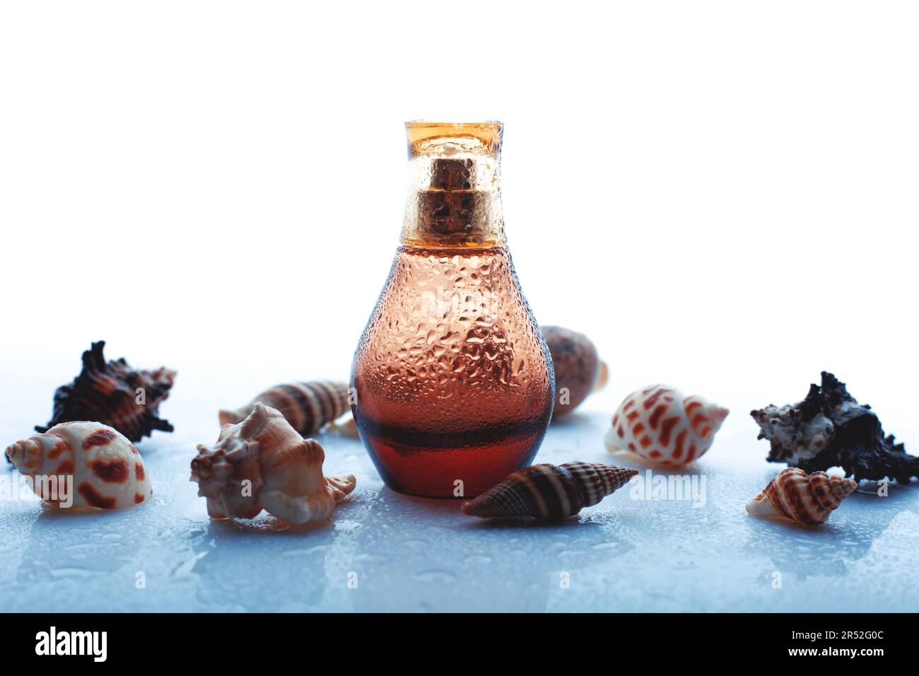 wet perfume spray bottle with shells Stock Photo
