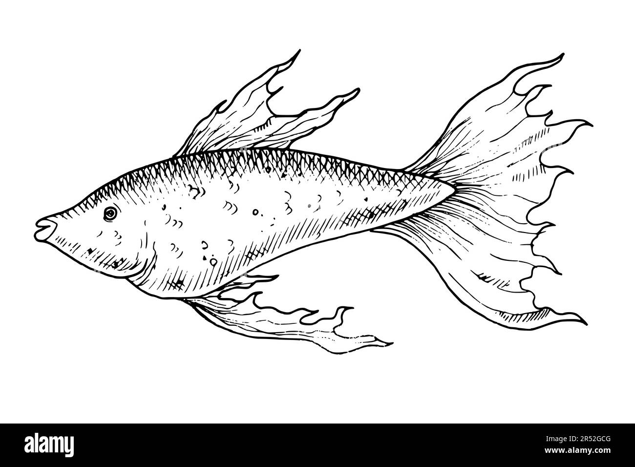 How to Draw a Small Fish  Easy Drawing Tutorial For Kids