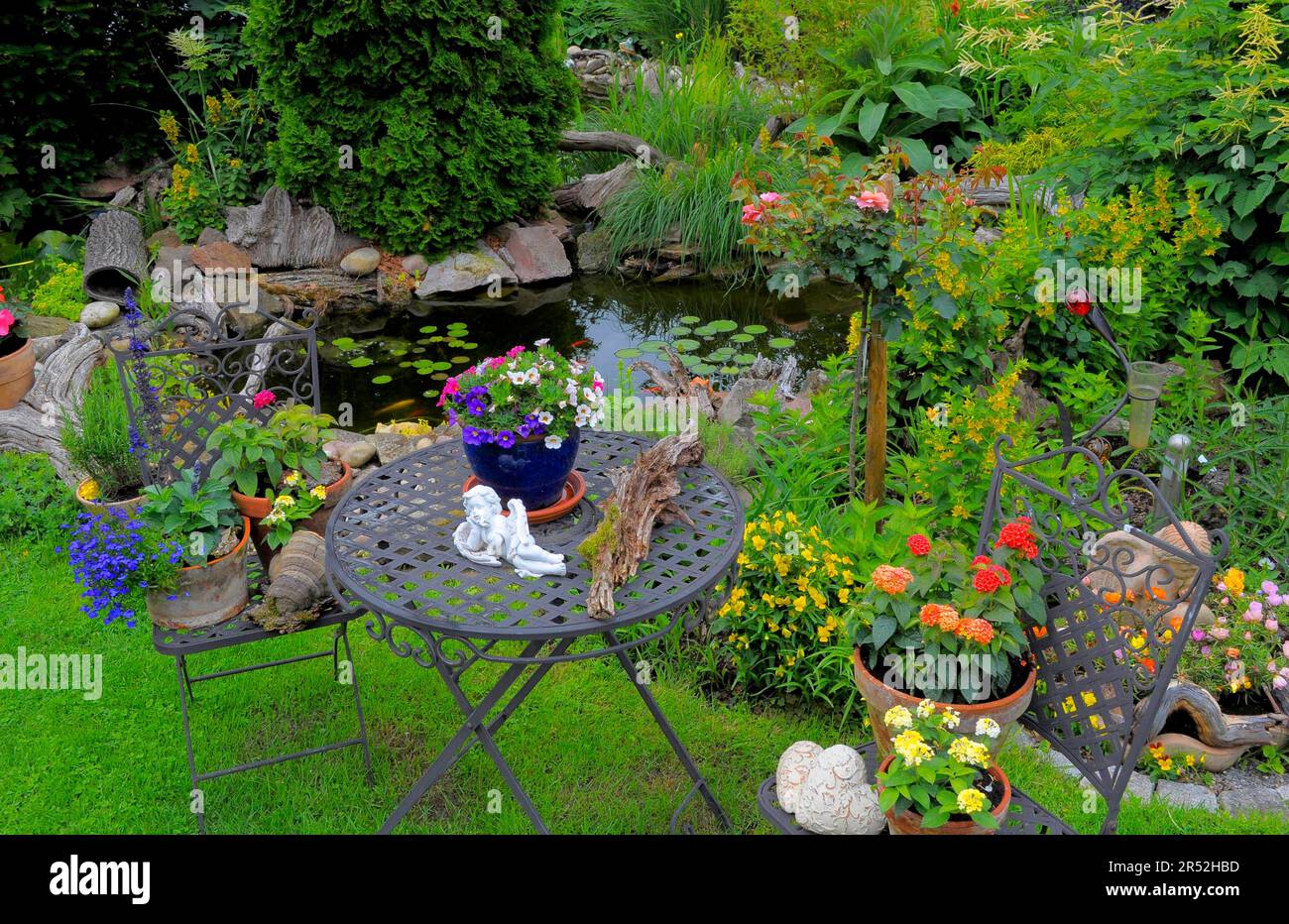 Ornamental garden, garden pond with goldfish Stock Photo - Alamy