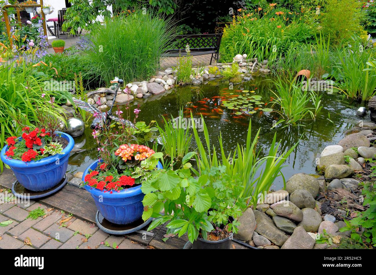 Garden pond with goldfish Stock Photo - Alamy