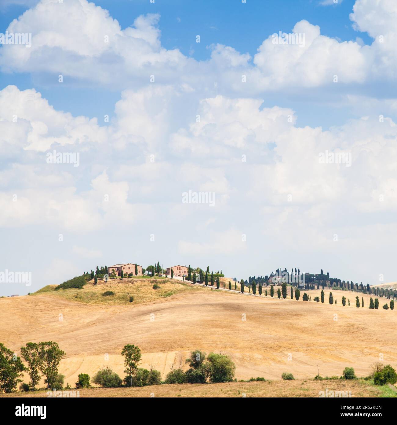 Summer season in Tuscan country, close to Siena Stock Photo