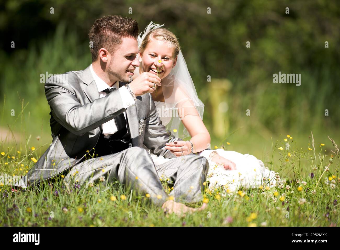 Bride and groom with wedding dress and suit in nature Stock Photo - Alamy