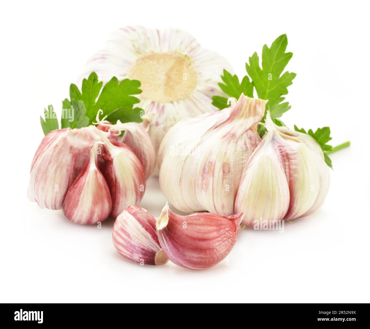 Fresh garlic with parsley isolated on white Stock Photo - Alamy