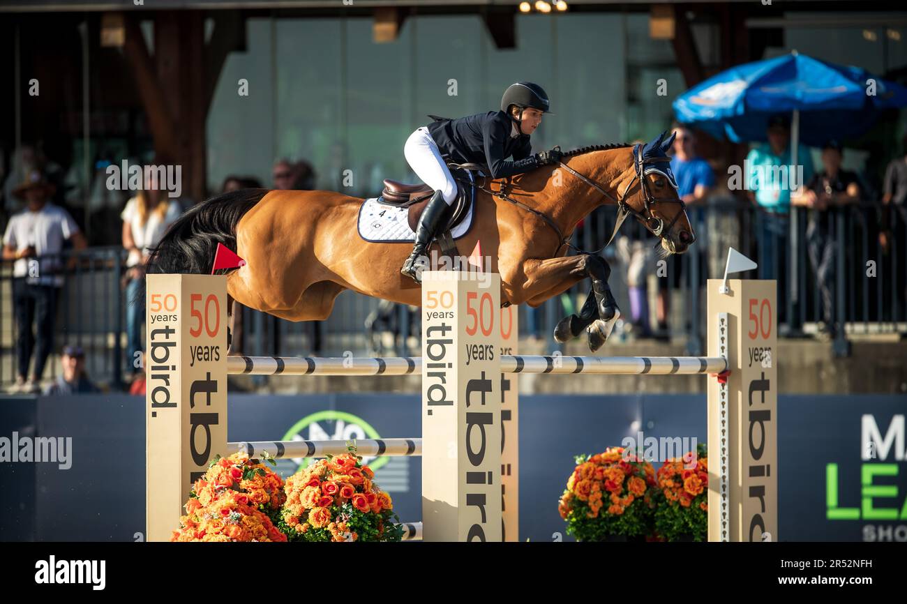 Professional show jumping tour hi-res stock photography and images - Alamy