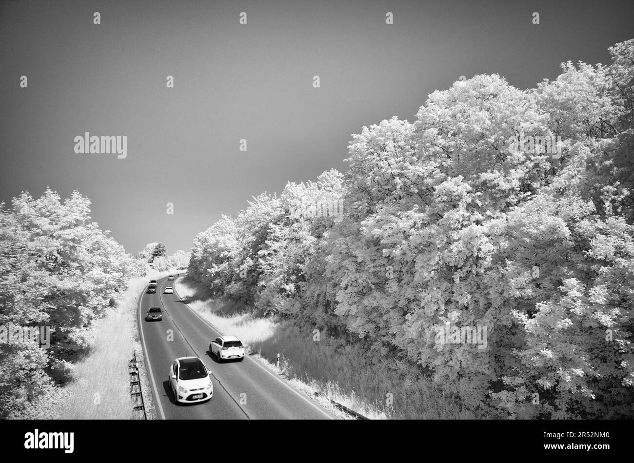 Road runs through forest area, moving cars, infrared image, Stuttgart, Baden-Wuerttemberg, Germany Stock Photo
