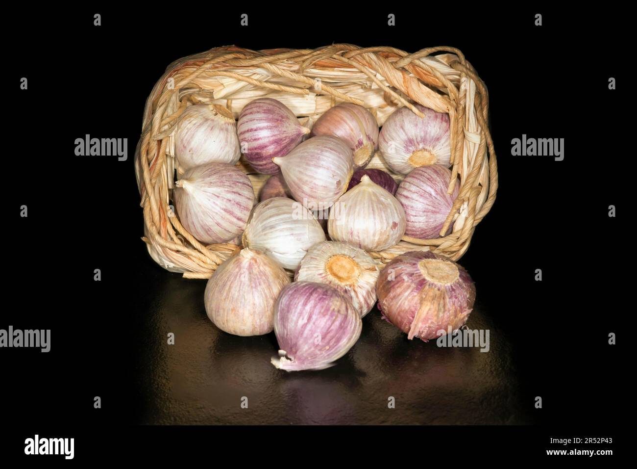 Tubers of alpine broad-leaf allium (Allium victorialis) in a woven basket, food photography with black background Stock Photo