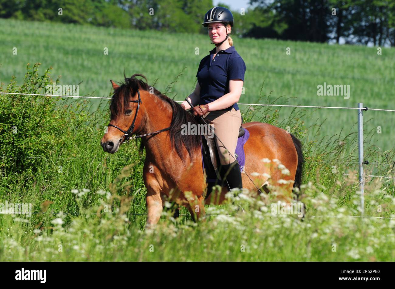 Women's Riding Instrument Woman riding pony hi-res stock photography and images - Alamy