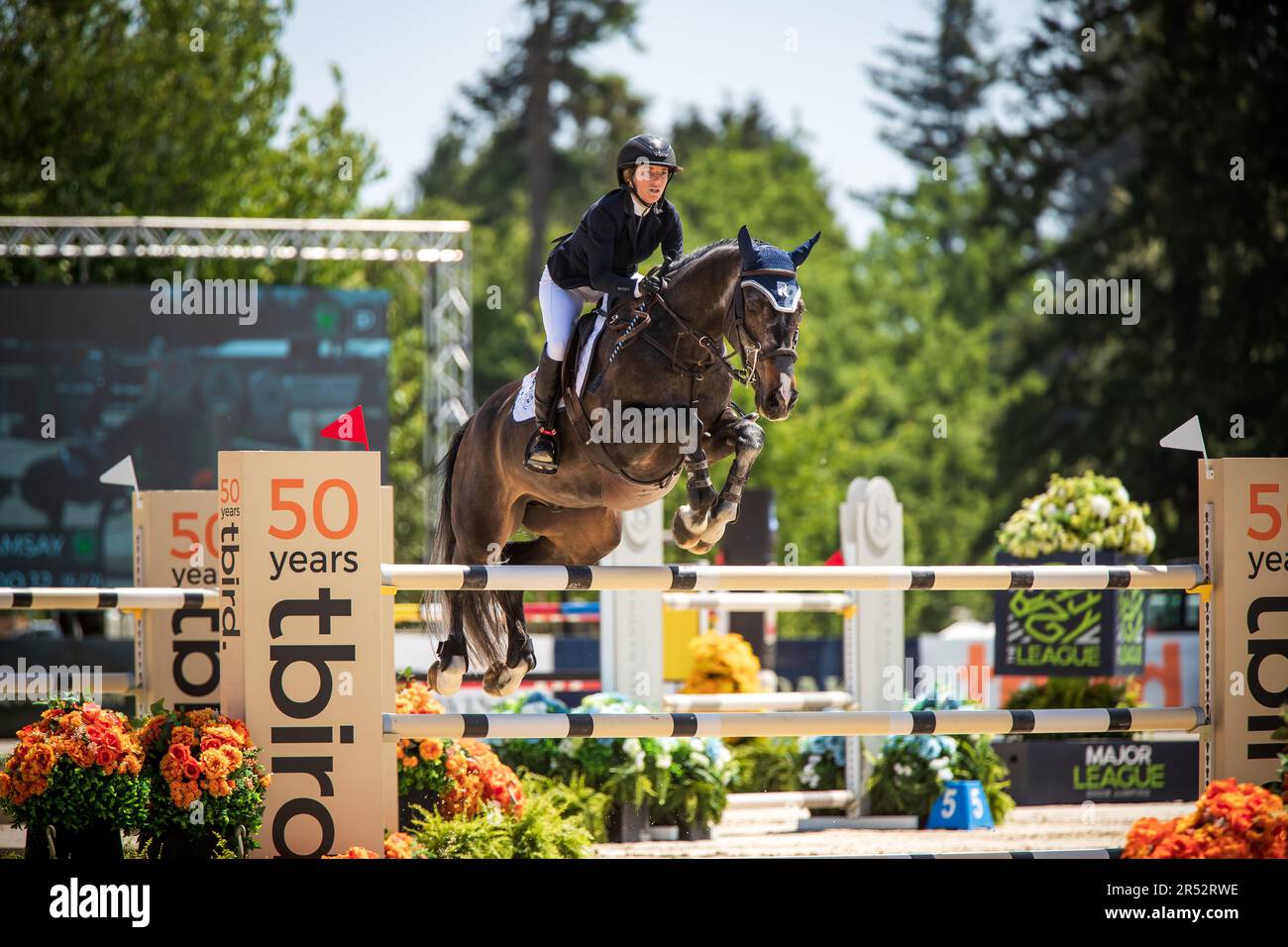 Professional show jumping tour hi-res stock photography and images - Alamy