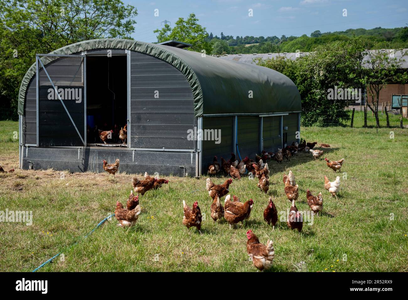 Ducks Hill Farm is a free range egg farm in Northwood near London