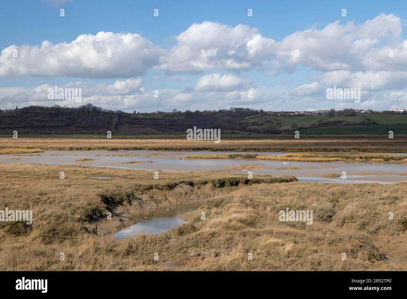 View across the Hadleigh Ray, from Canvey Island to Hadleigh Castle