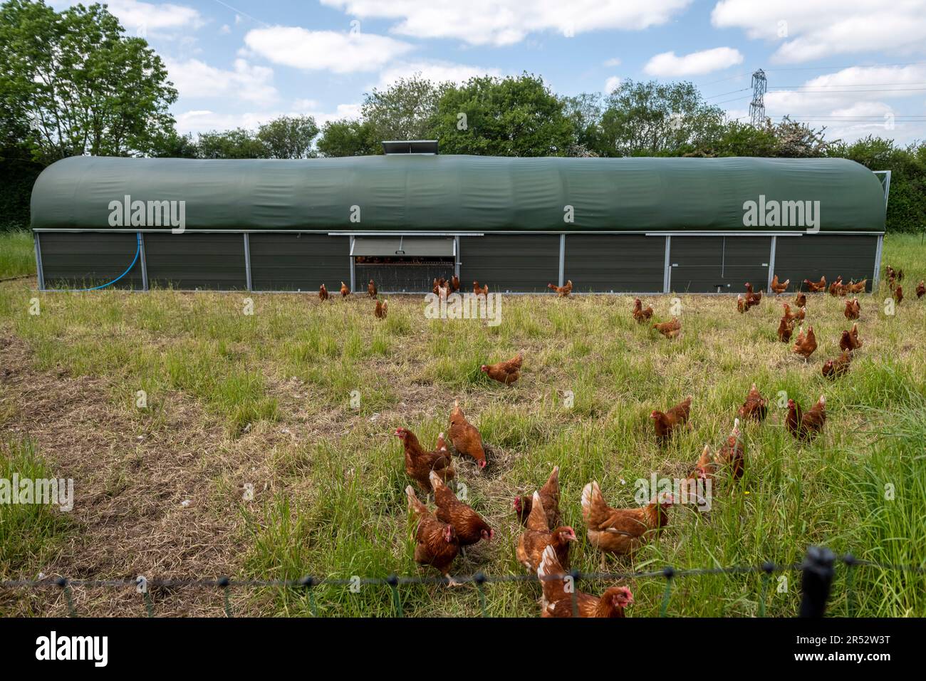 Ducks Hill Farm is a free range egg farm in Northwood near London