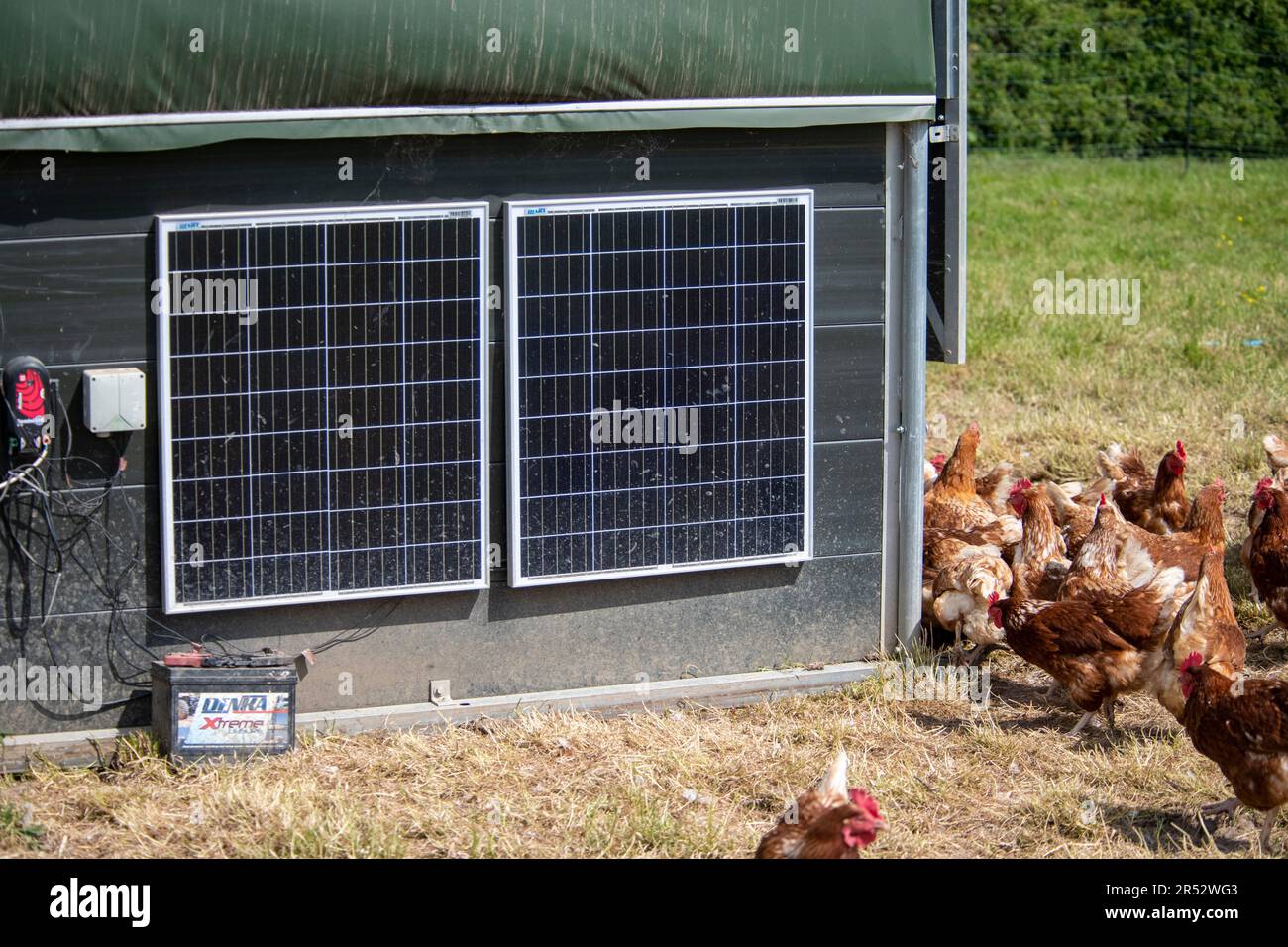 Ducks Hill Farm is a free range egg farm in Northwood near London