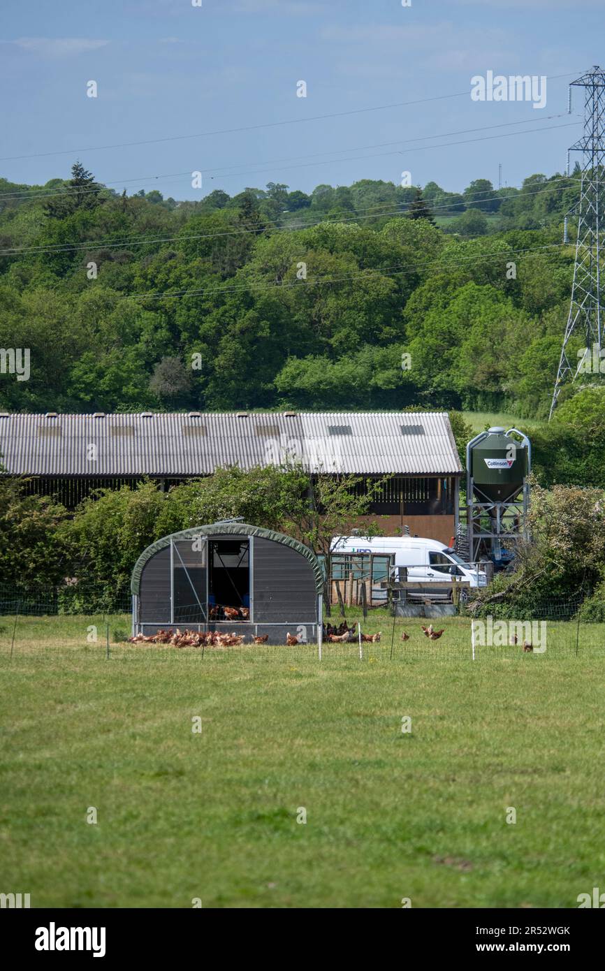 ducks-hill-farm-is-a-free-range-egg-farm-in-northwood-near-london