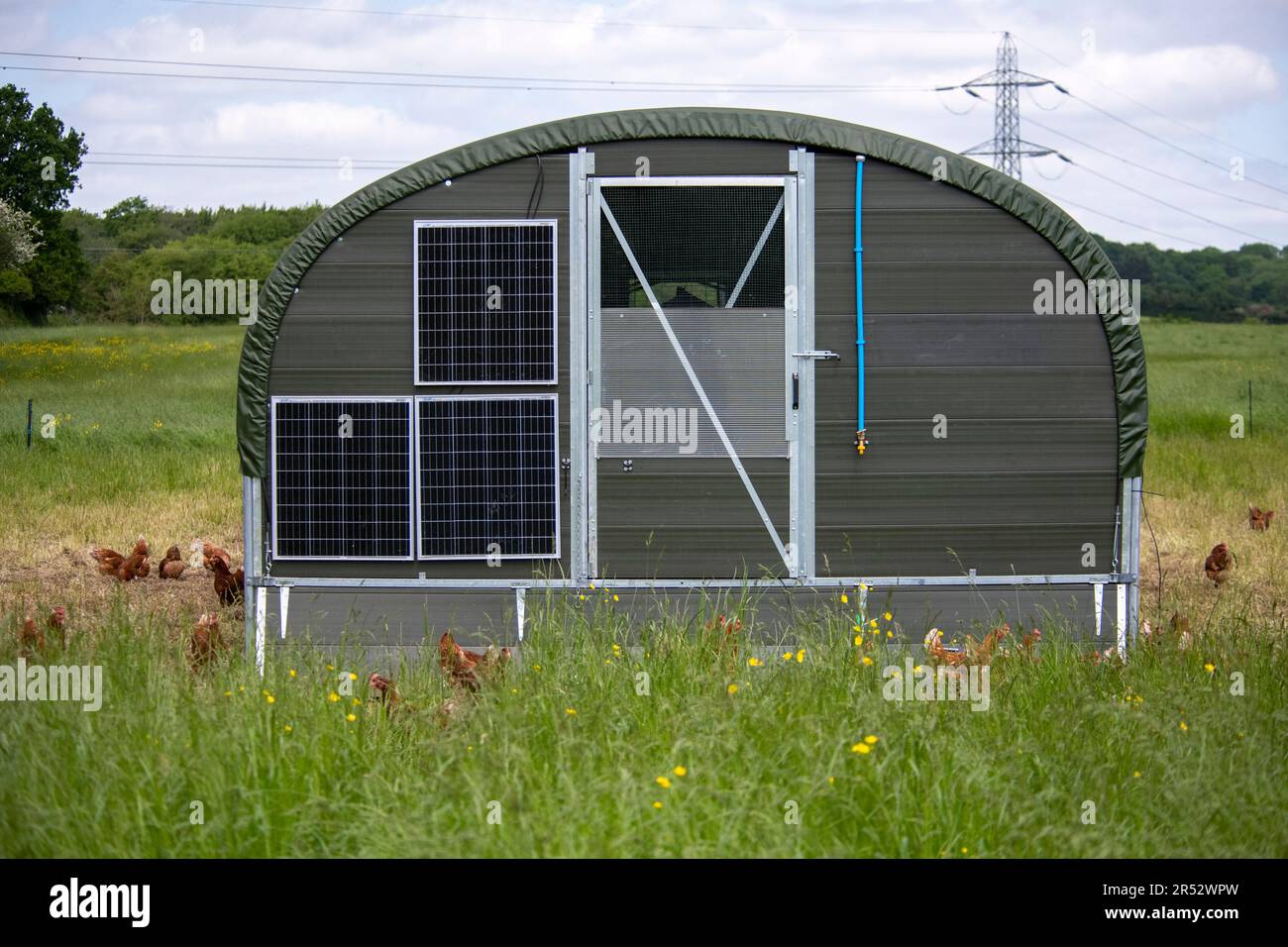 Ducks Hill Farm is a free range egg farm in Northwood near London