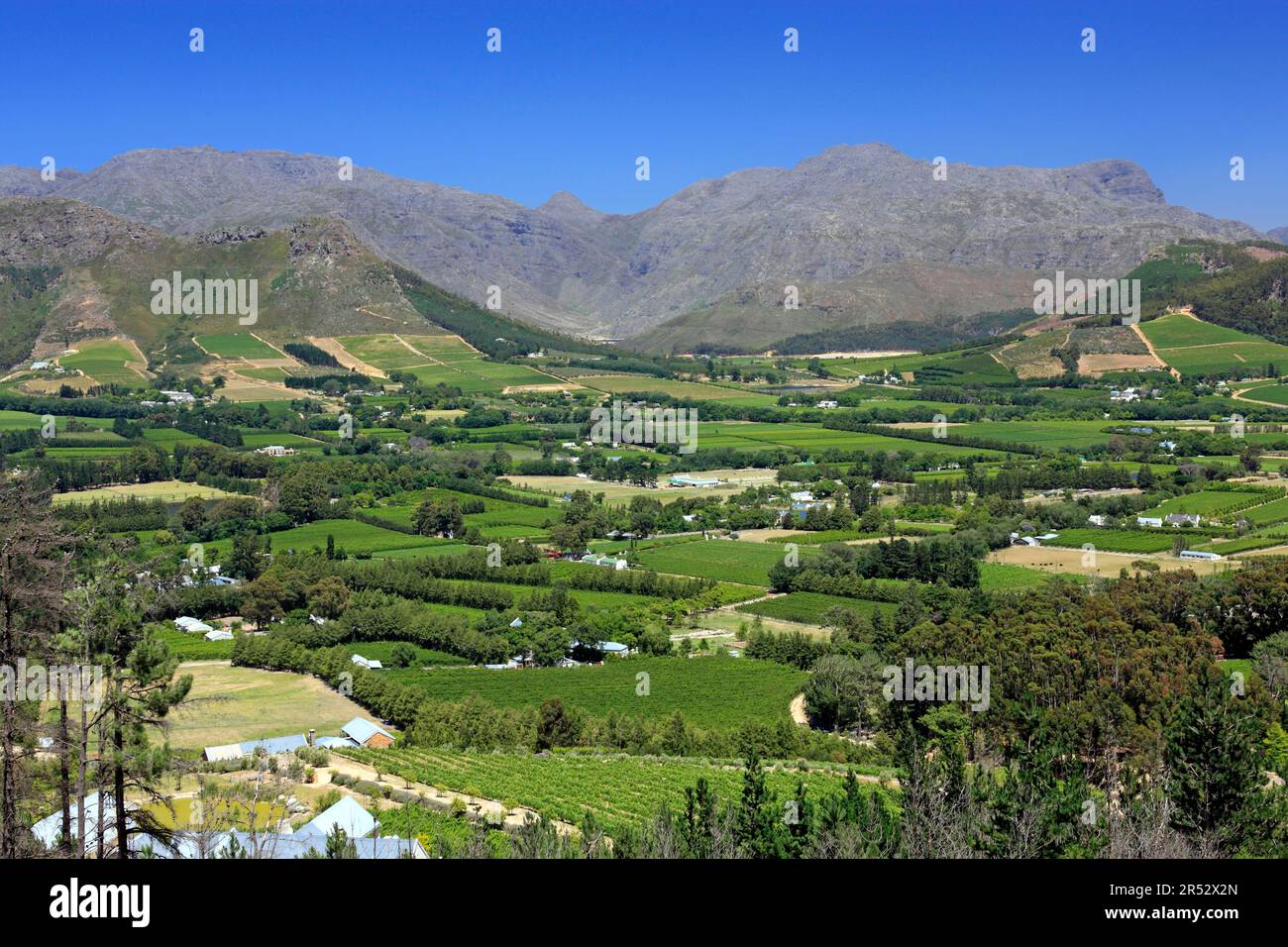 Franschhoek, Cape Region, Western Cape, South Africa, Wine Region Stock Photo