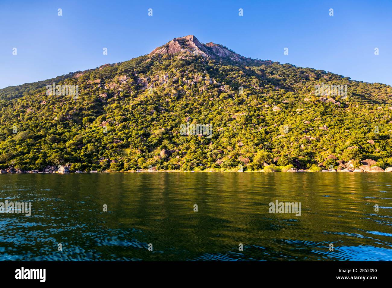 The shores of Lake Malawi are also home to many species of birds