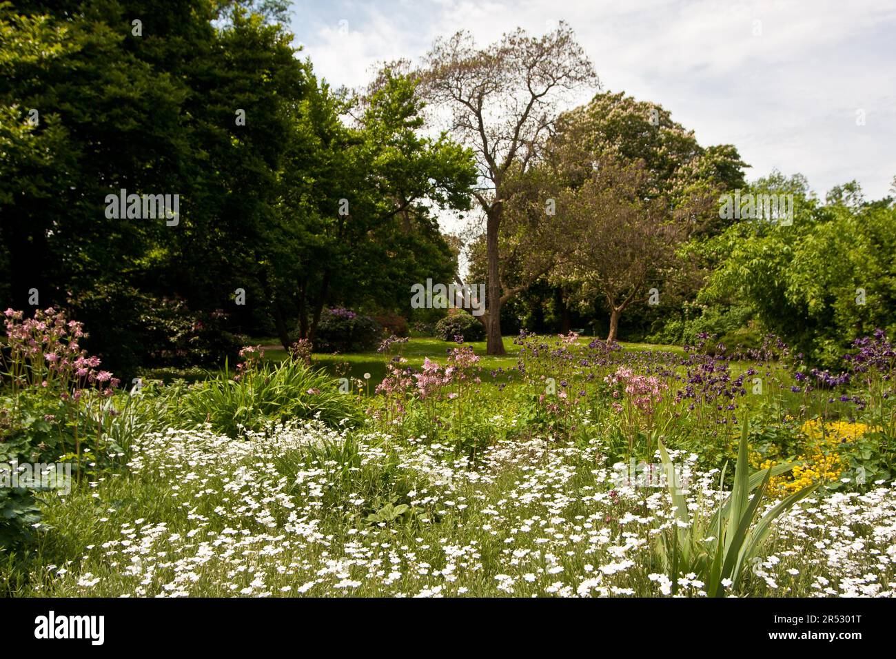 Park in Wittenberg Stock Photo Alamy