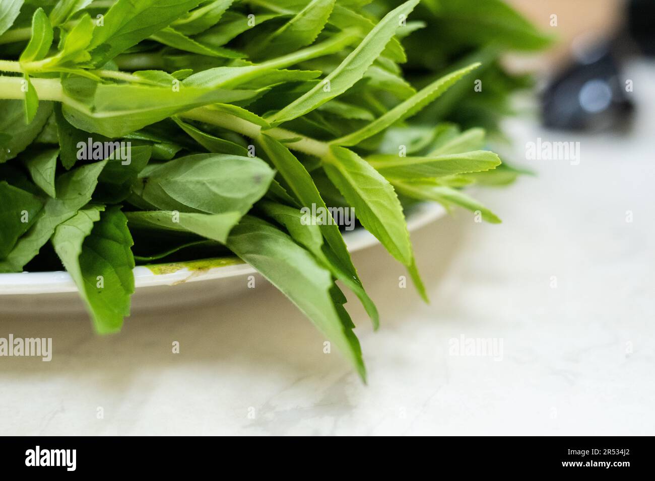 Morning glory (water spinach), Ho Chi Minh City, Vietnam Stock Photo
