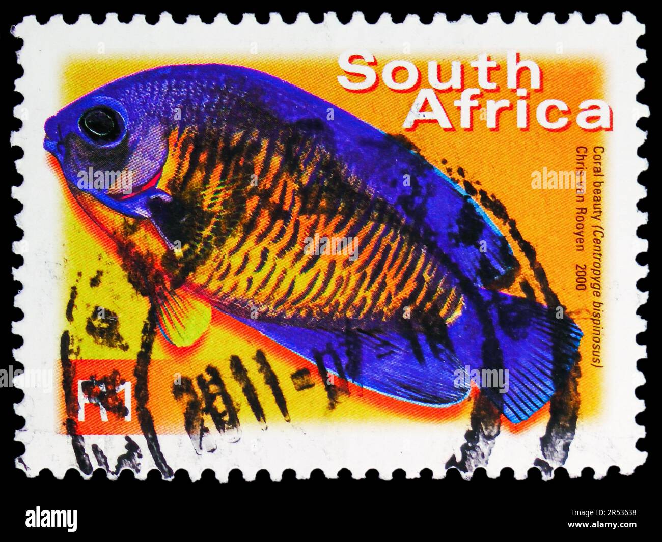 MOSCOW, RUSSIA - MAY 18, 2023: Postage stamp printed in South Africa shows Coral Beauty (Centropyge bispinosus), Definitives Flora and Fauna serie, ci Stock Photo