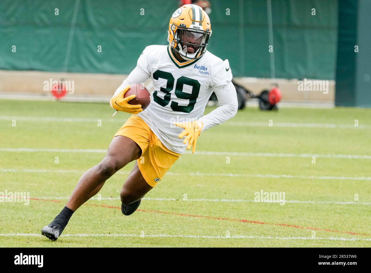 Green Bay Packers' Tyler Goodson runs during the first half of a