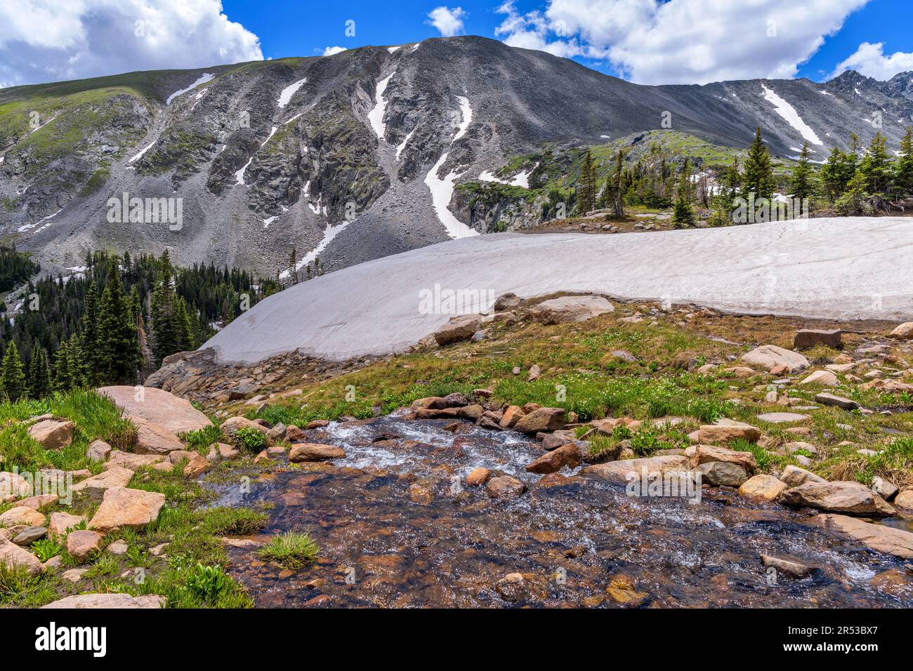 Spring Mountain Creek - A mountain creek running down from snow covered mountain top. Pawnee Pass Trail. Indian Peaks Wilderness, Colorado, USA. Stock Photo