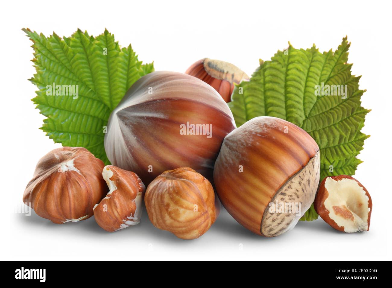 Hazelnutsfilberts in shell, whole and half with leaves isolated on