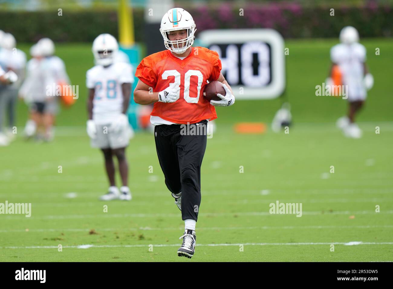 Miami Dolphins fullback Alec Ingold (30) misses a pass under pressure from  New England Patriots linebacker Ja'Whaun Bentley (8) during the first half  of an NFL football game, Sunday, Sept. 11, 2022